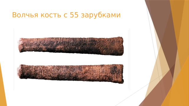 Волчья кость с 55 зарубками 