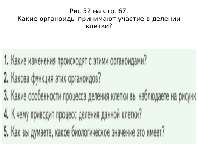 Рис 52 на стр. 67.  Какие органоиды принимают участие в делении клетки? 