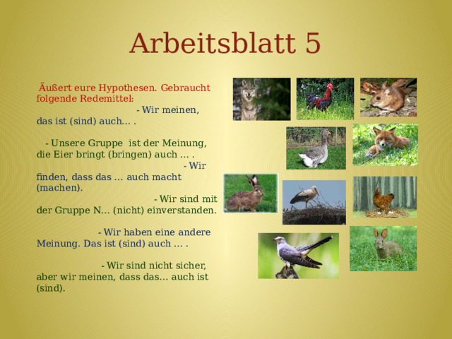 Arbeitsblatt 5  Äußert eure Hypothesen. Gebraucht folgende Redemittel: - Wir meinen, das ist (sind) auch… .  - Unsere Gruppe ist der Meinung, die Eier bringt (bringen) auch … .  - Wir finden, dass das … auch macht (machen). - Wir sind mit der Gruppe N… (nicht) einverstanden. - Wir haben eine andere Meinung. Das ist (sind) auch … .  - Wir sind nicht sicher, aber wir meinen, dass das… auch ist (sind).  