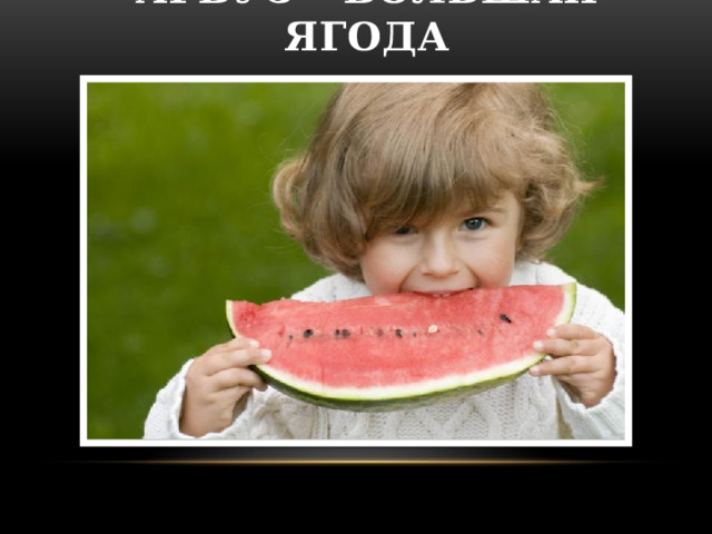 Арбуз – БОЛЬШАЯ ЯГОДА   