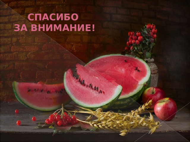 СПАСИБО  ЗА ВНИМАНИЕ! 