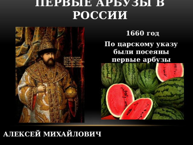 Первые арбузы в России  1660 год По царскому указу были посеяны первые арбузы АЛЕКСЕЙ МИХАЙЛОВИЧ  