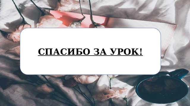 СПАСИБО ЗА УРОК! 