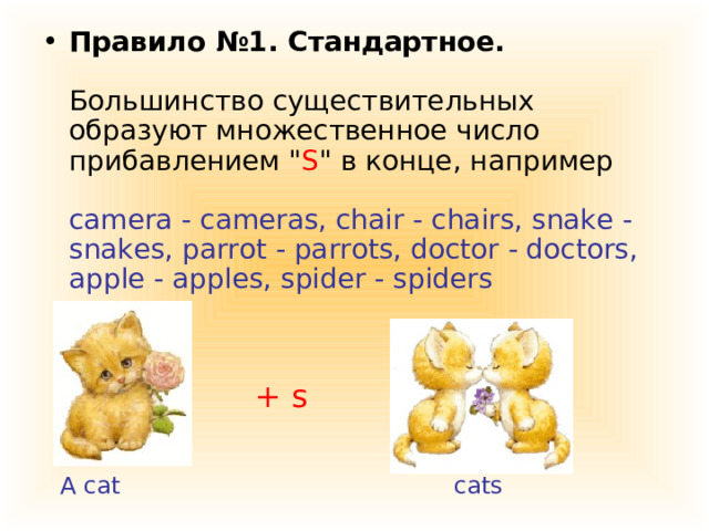 Правило №1. Стандартное.   Большинство существительных образуют множественное число прибавлением 