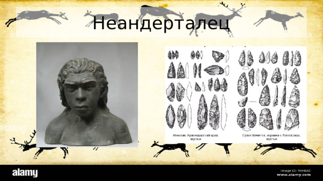 Неандерталец Прошли миллионы лет, прежде чем в наших местах появились другие люди — неандертальцы. Они гораздо больше похожи на нас с вами.  Жили неандертальцы в то время,когда большую часть Европы и Азии занимали льды. От их жизни остались многочисленные следы, особенно много их на север области, там где есть кремний и другие камни, подходящие для изготовления каменных орудий труда. Есть даже стоянки-мастерские: в Каменском районе у реки Калитвенец; хутор Кременский Константиновского района; междуречье рек Иловли и Медведицы - Каменка, Шлях, Логовское, Шакино, Ютовка; Цимлянский район - Малая и Большая Козловые балки, Похлебин, Цыганица. 