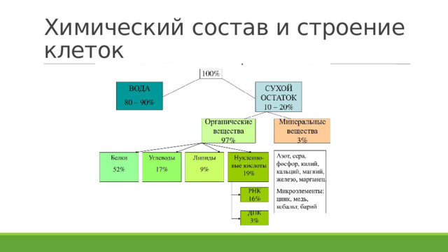 Химический состав и строение клеток 