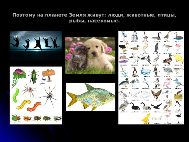 Поэтому на планете Земля живут: люди, животные, птицы, рыбы, насекомые. 