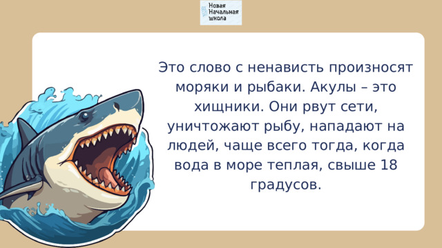 Это слово с ненависть произносят моряки и рыбаки. Акулы – это хищники. Они рвут сети, уничтожают рыбу, нападают на людей, чаще всего тогда, когда вода в море теплая, свыше 18 градусов. 