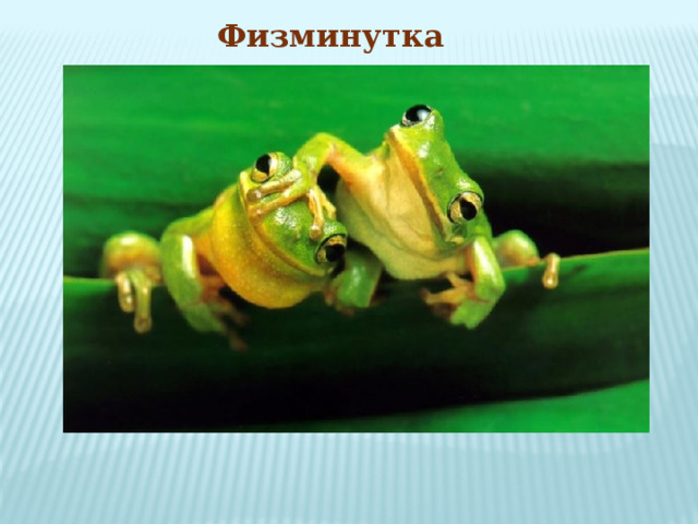 Физминутка  15 