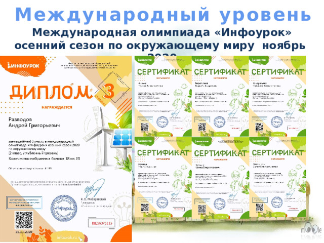 Международный уровень Международная олимпиада «Инфоурок» осенний сезон по окружающему миру ноябрь 2020 