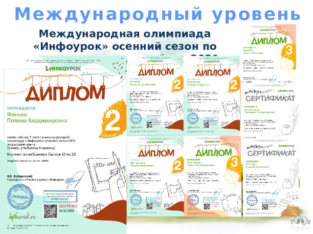Международный уровень Международная олимпиада «Инфоурок» осенний сезон по русскому языку ноябрь 2021 