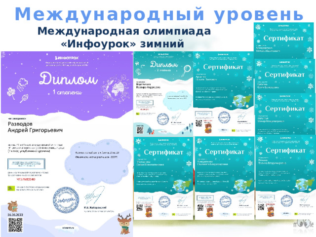 Международный уровень Международная олимпиада «Инфоурок» зимний сезон по окружающей среде февраль 2022 