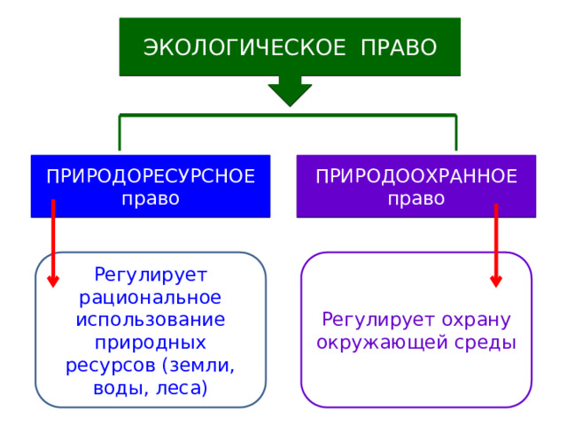ЭКОЛОГИЧЕСКОЕ ПРАВО ПРИРОДОРЕСУРСНОЕ право ПРИРОДООХРАННОЕ право Регулирует рациональное использование природных ресурсов (земли, воды, леса) Регулирует охрану окружающей среды 