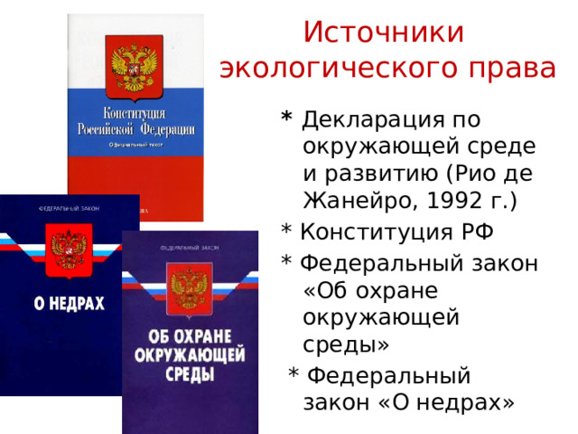 Источники  экологического права   * Декларация по окружающей среде и развитию (Рио де Жанейро, 1992 г.) * Конституция РФ * Федеральный закон «Об охране окружающей среды»  * Федеральный закон «О недрах» 