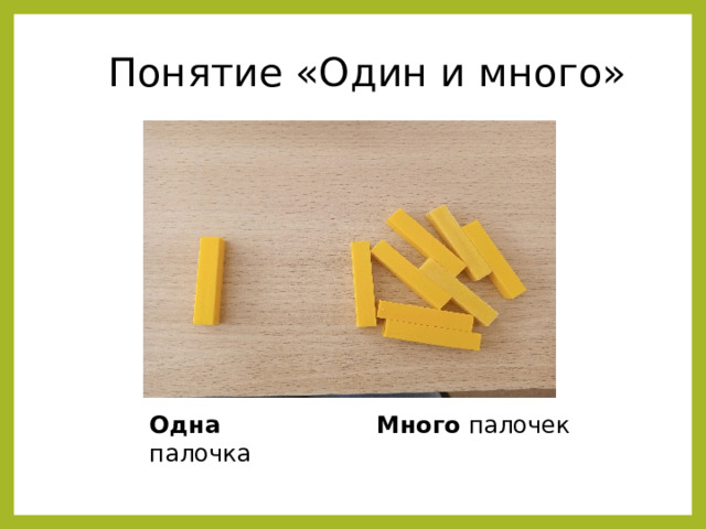 Понятие «Один и много» Одна палочка Много палочек 