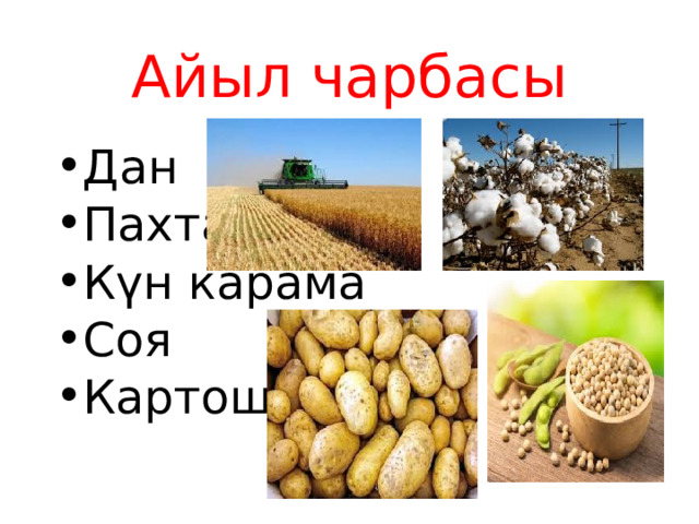 Айыл чарбасы Дан Пахта Күн карама Соя Картошка 