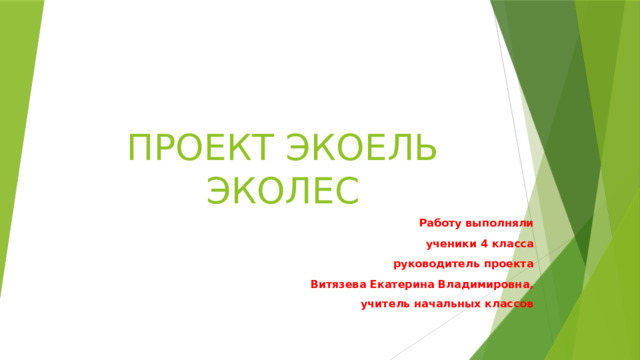 ПРОЕКТ ЭКОЕЛЬ ЭКОЛЕС Работу выполняли ученики 4 класса  руководитель проекта Витязева Екатерина Владимировна,  учитель начальных классов 