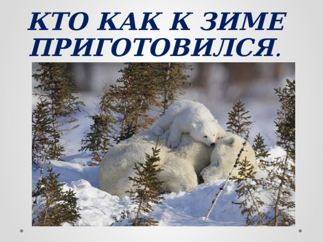 КТО КАК К ЗИМЕ ПРИГОТОВИЛСЯ . 