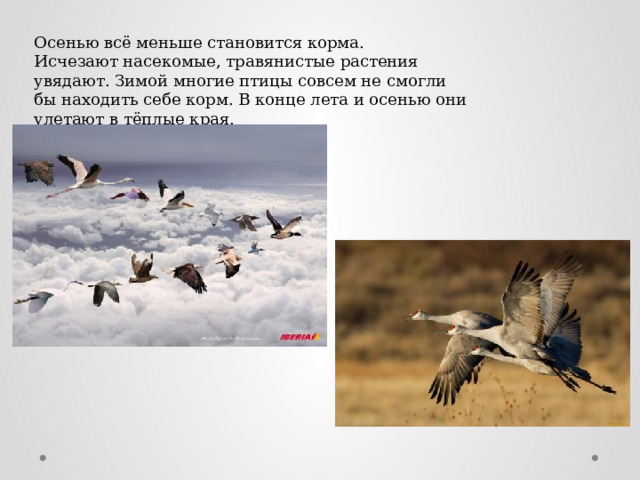 Осенью всё меньше становится корма. Исчезают насекомые, травянистые растения увядают. Зимой многие птицы совсем не смогли бы находить себе корм. В конце лета и осенью они улетают в тёплые края. 