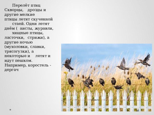  Перелёт птиц Скворцы,  дрозды и другие мелкие  птицы летят скученной  стаей. Одни летят  днём (  аисты, журавли,  хищные птицы,  ласточки,  стрижи), а другие ночью  (мухоловки, славки,  трясогузки), а некоторые и  летят и идут пешком.  Например, коростель -дергач 