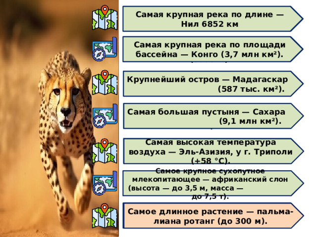Площадь Африки — 29,2 млн км², с прилегающими островами — 30,3 млн км² . Самая крупная река по длине — Нил 6852 км Самая крупная река по площади бассейна — Конго (3,7 млн км²). Наибольшая высота над уровнем моря — вулкан Килиманджаро (5895 м). Самая длинная рифтовая система суши — Восточно-Африканские рифты (более 6 тыс. км). Крупнейший остров — Мадагаскар (587 тыс. км²). Самое низкое место от уровня моря — котловина озера Ассаль (−157 м). Самая большая пустыня — Сахара (9,1 млн км²). Протяжённость с юга на север — 7623 км, с востока на запад — 7260 км. Самая высокая температура воздуха — Эль-Азизия, у г. Триполи (+58 °С). Крупнейшее озеро — Виктория (69,5 тыс. км²). Самое крупное сухопутное млекопитающее — африканский слон (высота — до 3,5 м, масса — до 7,5 т). Самое толстое дерево — баобаб (диаметр — до 54,4 м). Самое глубокое озеро — Танганьика (1470 м). Самое длинное растение — пальма-лиана ротанг (до 300 м). 