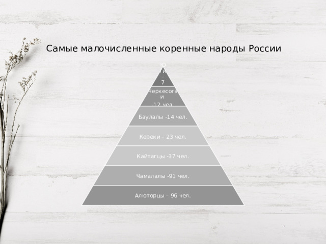 Самые малочисленные коренные народы России Юги – 7 чел. Черкесогаи -12 чел. Баулалы -14 чел. Кереки – 23 чел. Кайтагцы -37 чел. Чамалалы -91 чел. Алюторцы – 96 чел. 