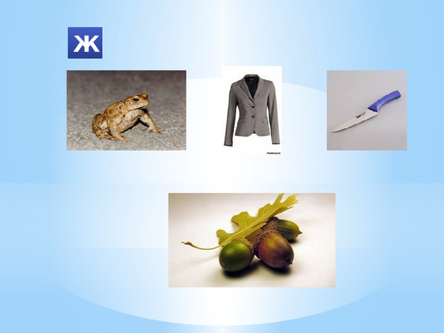 Ж 