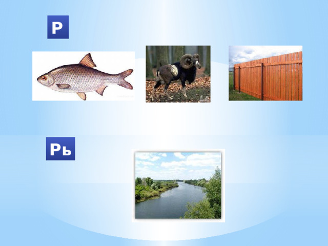 Р Рь 