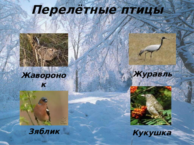 Перелётные птицы Журавль Жаворонок Зяблик Кукушка 