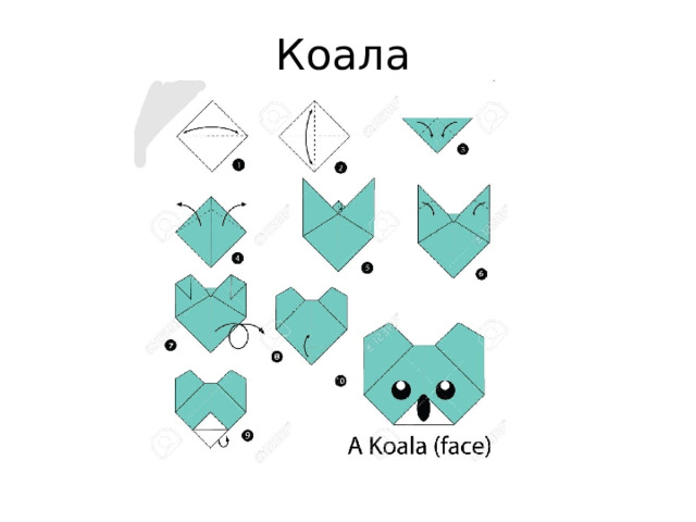 Коала 