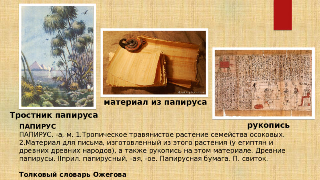 материал из папируса Тростник папируса рукопись ПАПИРУС ПАПИРУС, -а, м. 1.Тропическое травянистое растение семейства осоковых. 2.Материал для письма, изготовленный из этого растения (у египтян и древних древних народов), а также рукопись на этом материале. Древние папирусы. IIприл. папирусный, -ая, -ое. Папирусная бумага. П. свиток. Толковый словарь Ожегова 