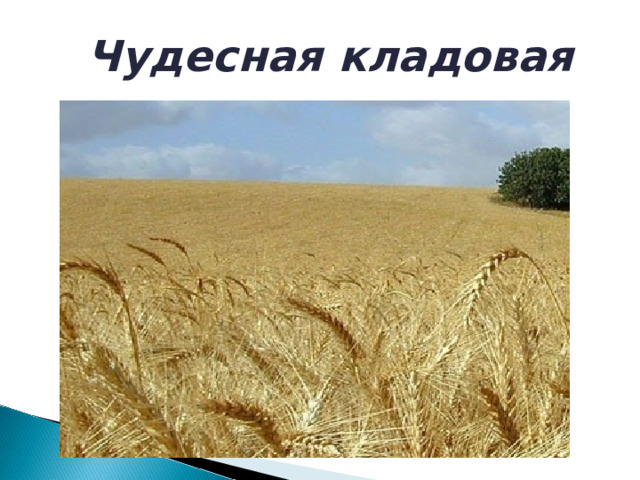 Чудесная кладовая 
