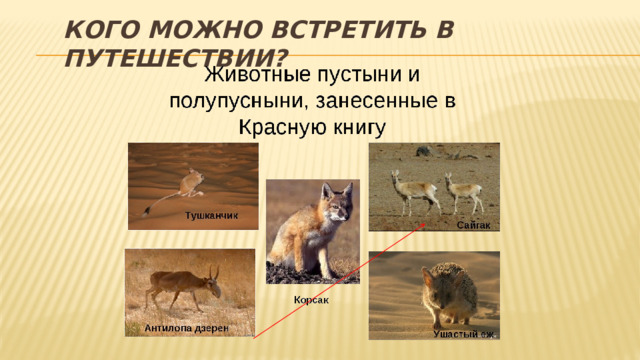 Кого можно встретить в путешествии? 