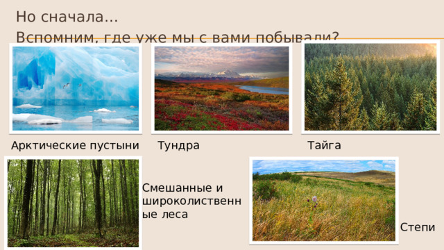 Но сначала… Вспомним, где уже мы с вами побывали? Тайга Арктические пустыни Тундра Смешанные и широколиственные леса Степи 