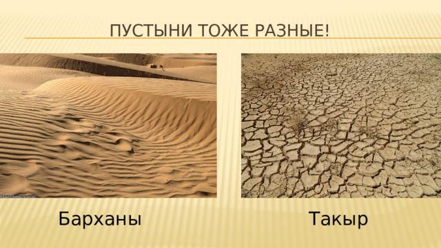 Пустыни тоже разные! Барханы Такыр 