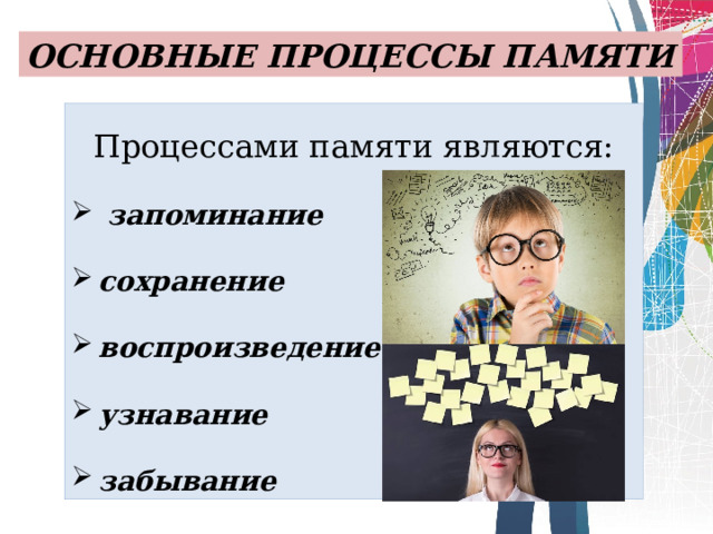ОСНОВНЫЕ ПРОЦЕССЫ ПАМЯТИ Процессами памяти являются:  запоминание сохранение воспроизведение узнавание забывание 