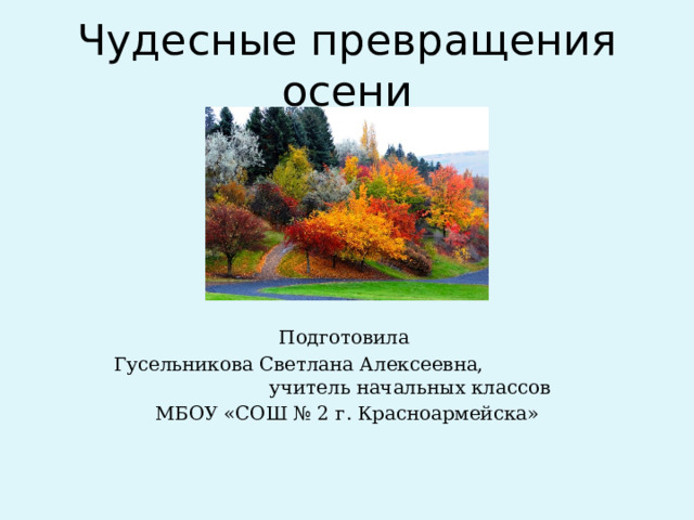 Чудесные превращения осени Подготовила Гусельникова Светлана Алексеевна, учитель начальных классов МБОУ «СОШ № 2 г. Красноармейска» 