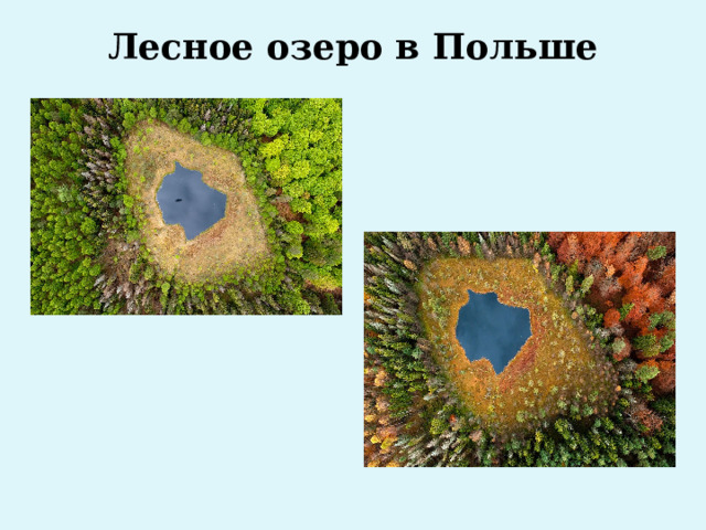 Лесное озеро в Польше   