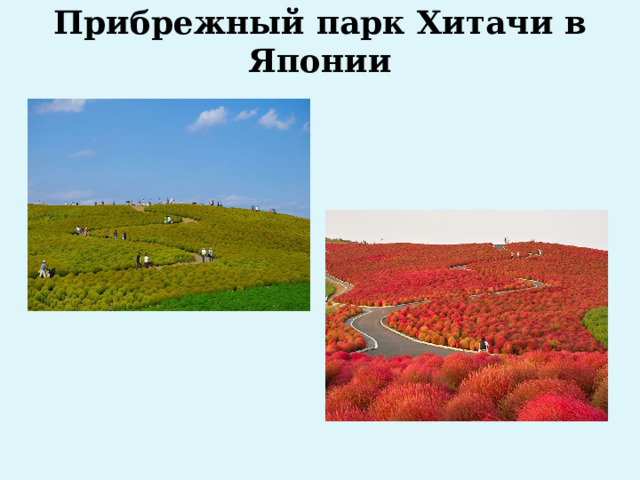 Прибрежный парк Хитачи в Японии   