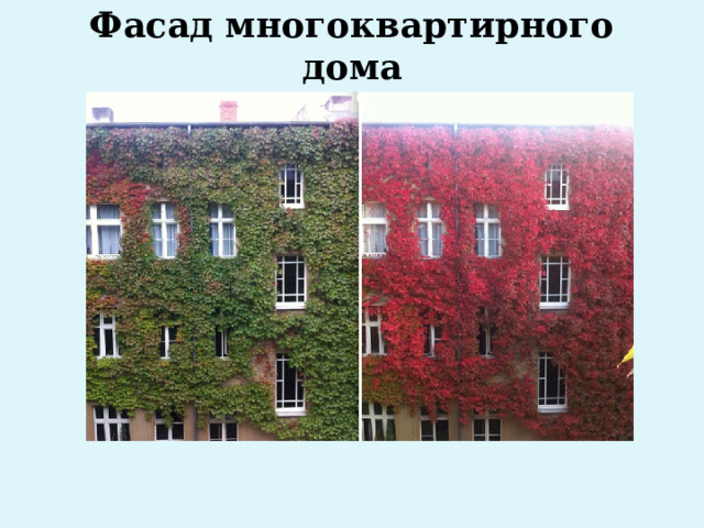 Фасад многоквартирного дома   