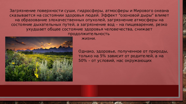 Загрязнение поверхности суши, гидросферы, атмосферы и Мирового океана сказывается на состоянии здоровья людей. Э ффект 