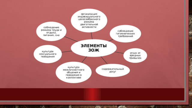 организация индивидуального целесообразного режима двигательной активности соблюдение режима труда и отдыха, питания, сна соблюдение гигиенических требований ЭЛЕМЕНТЫ ЗОЖ культура сексуального поведения отказ от вредных привычек культура межличностного общения и поведения в коллективе содержательный досуг 