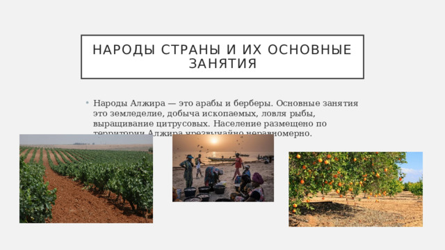 Народы страны и их основные занятия Народы Алжира — это арабы и берберы. Основные занятия это земледелие, добыча ископаемых, ловля рыбы, выращивание цитрусовых. Население размещено по территории Алжира чрезвычайно неравномерно. 