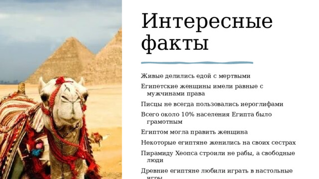 Интересные факты Живые делились едой с мертвыми Египетские женщины имели равные с мужчинами права Писцы не всегда пользовались иероглифами Всего около 10% населения Египта было грамотным Египтом могла править женщина Некоторые египтяне женились на своих сестрах Пирамиду Хеопса строили не рабы, а свободные люди Древние египтяне любили играть в настольные игры Египетские рабочие устраивали забастовки Египетские фараоны часто имели избыточный вес 