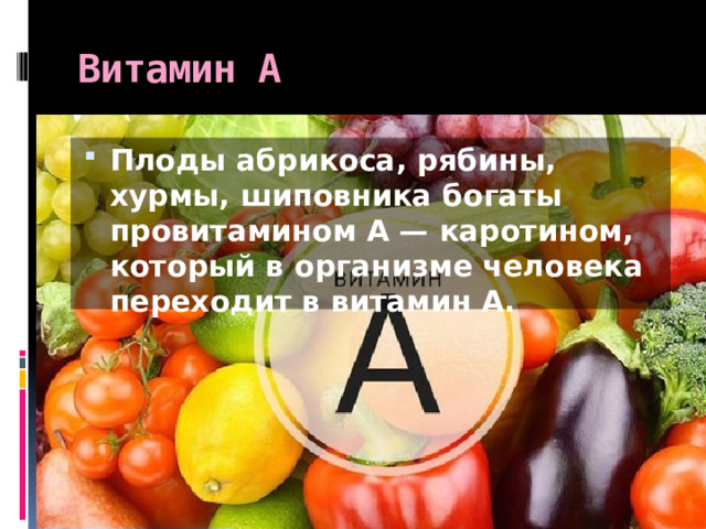 Витамин А Плоды абрикоса, рябины, хурмы, шиповника богаты провитамином А — каротином, который в организме человека переходит в витамин А. 