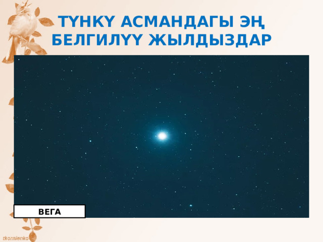 ТҮНКҮ АСМАНДАГЫ ЭҢ БЕЛГИЛҮҮ ЖЫЛДЫЗДАР ВЕГА 