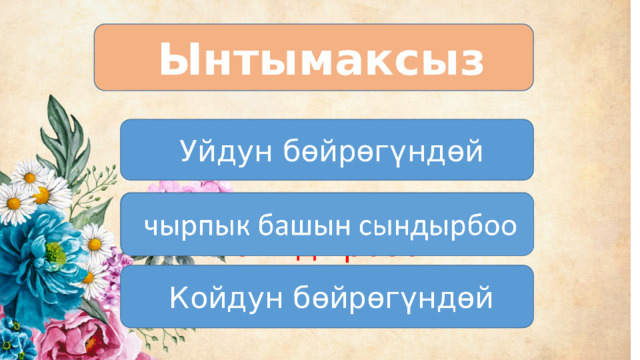  Ынтымаксыз  Уйдун бөйрөгүндөй  чырпык башын сындырбоо  Койдун бөйрөгүндөй 