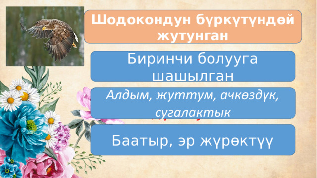 Шодокондун бүркүтүндөй жутунган Биринчи болууга шашылган Алдым, жуттум, ачкөздүк, сугалактык Баатыр, эр жүрөктүү 