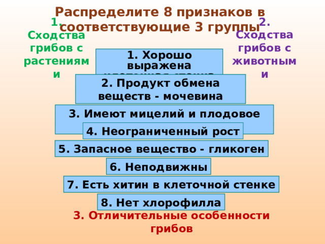 Распределите 8 признаков в соответствующие 3 группы 2. Сходства грибов с животными 1. Сходства грибов с растениями 1. Хорошо выражена клеточная стенка 2. Продукт обмена веществ - мочевина 3. Имеют мицелий и плодовое тело 4. Неограниченный рост 5. Запасное вещество - гликоген 6. Неподвижны 7. Есть хитин в клеточной стенке 8. Нет хлорофилла 3. Отличительные особенности грибов 9 