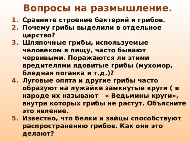 Вопросы на размышление. Сравните строение бактерий и грибов. Почему грибы выделили в отдельное царство? Шляпочные грибы, используемые человеком в пищу, часто бывают червивыми. Поражаются ли этими вредителями ядовитые грибы (мухомор, бледная поганка и т.д.)? Луговые опята и другие грибы часто образуют на лужайке замкнутые круги ( в народе их называют « Ведьмины круги», внутри которых грибы не растут. Объясните это явление. Известно, что белки и зайцы способствуют распространению грибов. Как они это делают?  